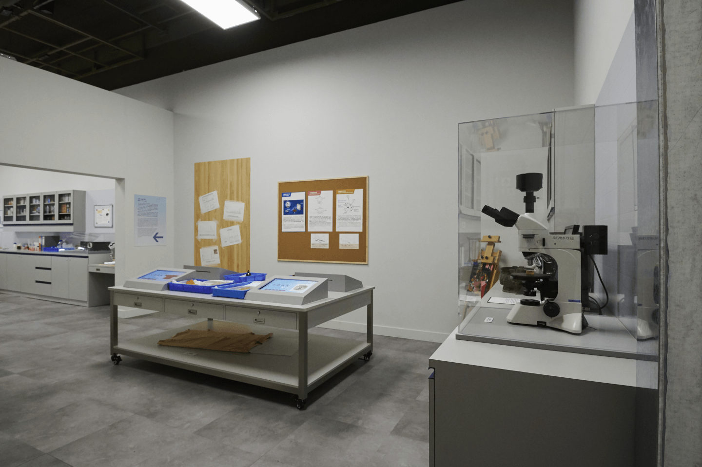 Conservation Laboratory